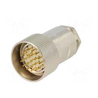 Connector: M27 | ZYLIN | plug | male | soldering | for cable | PIN: 21