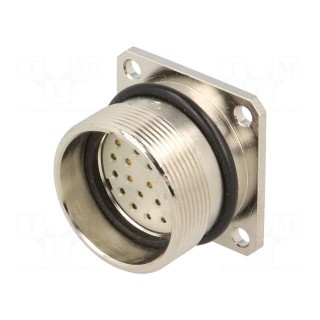 Connector: M27 | ZYLIN | socket | female | soldering | PIN: 26 | IP67 | 1mm2