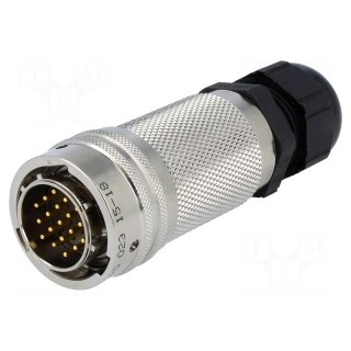 Connector: circular | PT | plug | male | PIN: 19 | with cable gland | 7.5A
