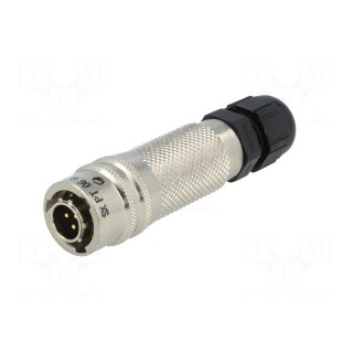 Connector: circular | PT | plug | male | PIN: 3 | with cable gland | 13A