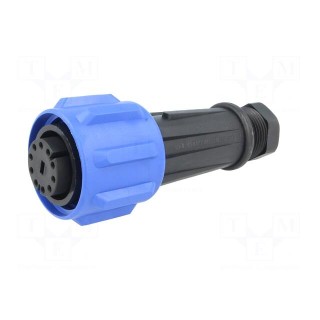 Connector: circular | plug | female | PIN: 10 | Buccaneer 900 | IP68