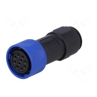 Connector: circular | plug | female | PIN: 10 | w/o contacts | for cable
