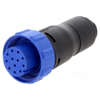 Connector: circular | plug | female | PIN: 12 | w/o contacts | for cable