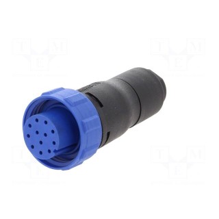 Connector: circular | plug | female | PIN: 12 | w/o contacts | for cable