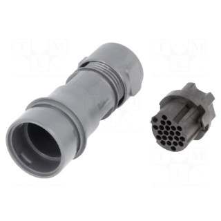 Connector: circular | plug | female | PIN: 22 | w/o contacts | for cable