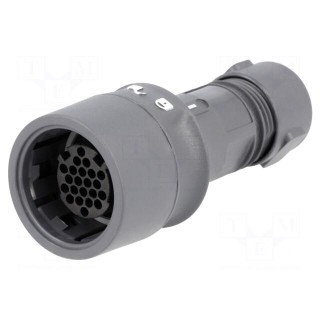 Connector: circular | plug | female | PIN: 22 | w/o contacts | for cable
