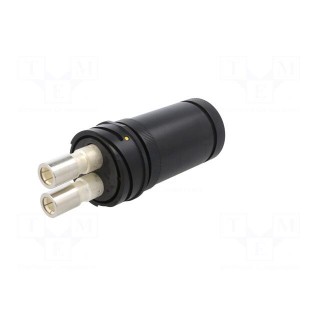 Connector: circular | plug | female | PIN: 2 | Buccaneer 9000 | IP68