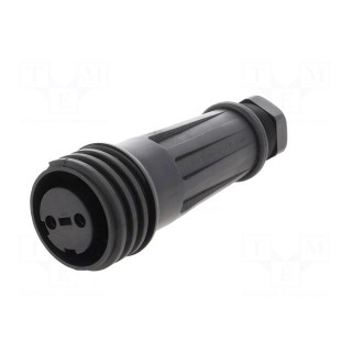 Connector: circular | plug | female | PIN: 2 | Buccaneer 900 | for cable