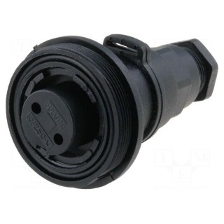 Connector: circular | plug | female | PIN: 2 | Standard Buccaneer®