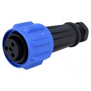 Connector: circular | plug | female | PIN: 3 | Buccaneer 900 | for cable