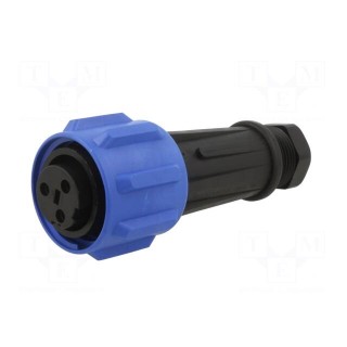 Connector: circular | plug | female | PIN: 3 | Buccaneer 900 | for cable