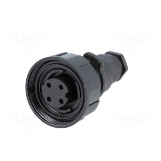 Connector: circular | plug | female | PIN: 4 | Standard Buccaneer®