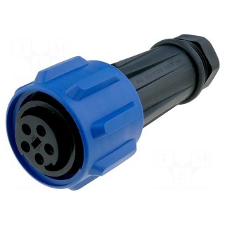 Connector: circular | plug | female | PIN: 5 | Buccaneer 900 | for cable