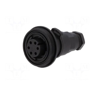 Connector: circular | plug | female | PIN: 6 | Standard Buccaneer®