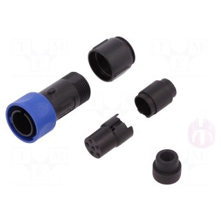 Connector: circular | plug | female | PIN: 6 | w/o contacts | for cable