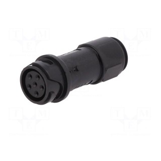 Connector: circular | plug | female | PIN: 6 | w/o contacts | for cable