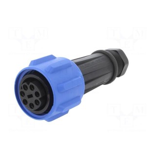 Connector: circular | plug | female | PIN: 7 | Buccaneer 900 | for cable