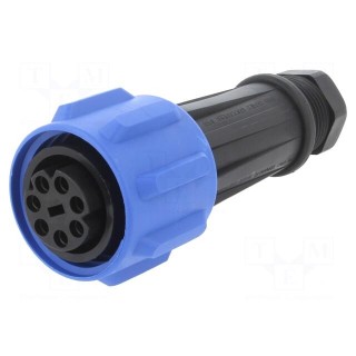 Connector: circular | plug | female | PIN: 7 | Buccaneer 900 | for cable