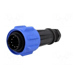 Connector: circular | plug | male | PIN: 10 | Buccaneer 900 | for cable