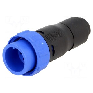Connector: circular | plug | male | PIN: 12 | w/o contacts | for cable