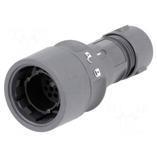 Connector: circular | plug | male | PIN: 16 | w/o contacts | for cable