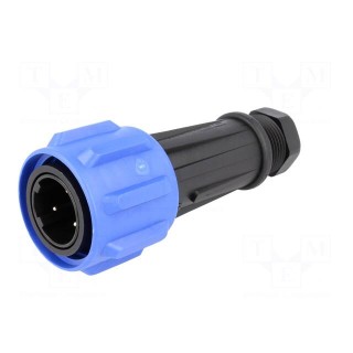 Connector: circular | plug | male | PIN: 3 | Buccaneer 900 | for cable