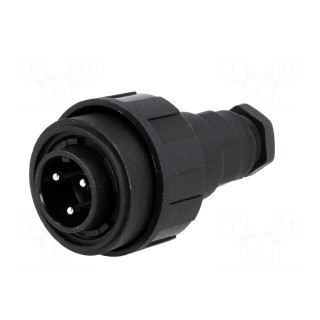 Connector: circular | plug | male | PIN: 3 | Standard Buccaneer® | IP68