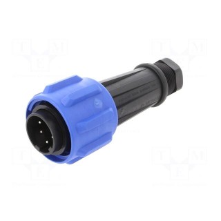 Connector: circular | plug | male | PIN: 5 | Buccaneer 900 | for cable