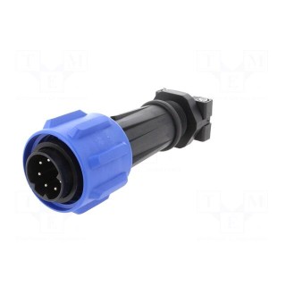 Connector: circular | plug | male | PIN: 7 | Buccaneer 900 | for cable