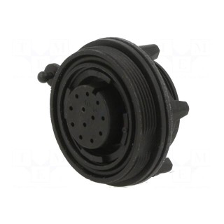 Connector: circular | socket | female | PIN: 12 | w/o contacts | crimped