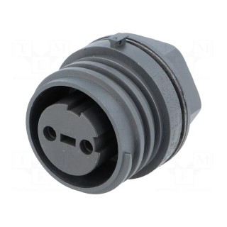 Connector: circular | socket | female | PIN: 2 | EXPlora | nickel plated