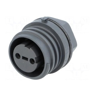 Connector: circular | socket | female | PIN: 2 | EXPlora | nickel plated
