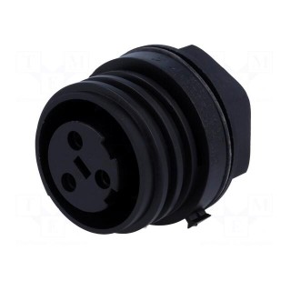 Connector: circular | socket | female | PIN: 3 | Buccaneer 900 | IP68