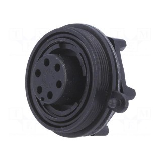 Connector: circular | socket | female | PIN: 6 | Standard Buccaneer®