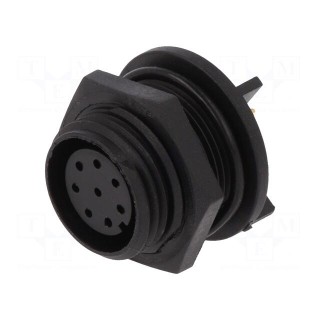 Connector: circular | socket | female | PIN: 8 | Buccaneer 400 | IP68