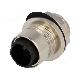 Connector: circular | socket | male | PIN: 16 | w/o contacts | 3A | brass