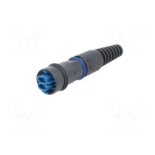 Connector: fiber optic | PIN: 2 | single mode duplex (SM) | bayonet
