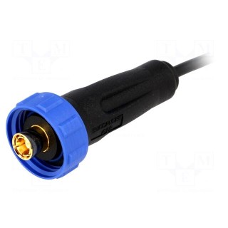 Connector: SMB | plug | with lead | internal thread | Buccaneer SMB