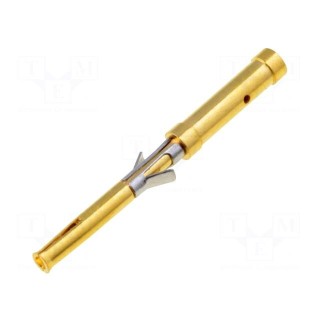Contact | female | brass | gold-plated | 26AWG÷22AWG | crimped