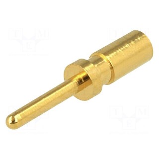 Contact | male | copper alloy | gold-plated | 24AWG÷20AWG | crimped