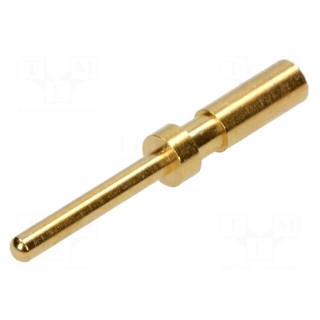 Contact | male | copper alloy | gold-plated | 26AWG÷22AWG | crimped
