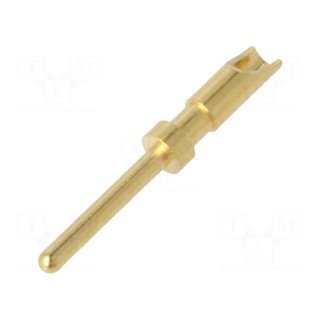 Contact | male | copper alloy | gold-plated | 28AWG÷24AWG | soldering