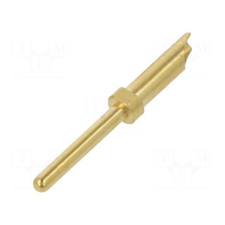 Contact | male | gold-plated | 0.2÷0.5mm2 | Mini Buccaneer | soldering