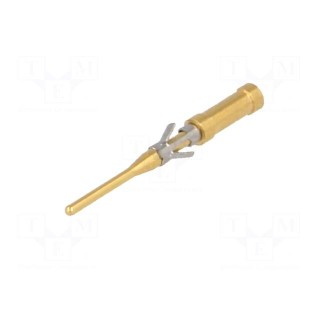 Contact | male | brass | gold-plated | 26AWG÷22AWG | soldering