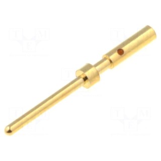 Contact | male | copper alloy | gold-plated | 28AWG÷24AWG | crimped