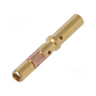 Contact | female | 16 | gold-plated | 0.5÷1.5mm2 | 20AWG÷16AWG | bulk
