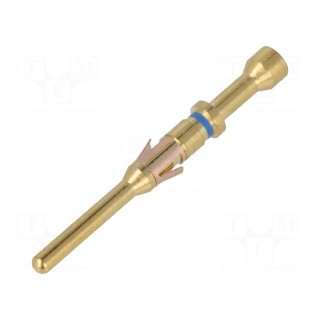 Contact | male | 16 | gold-plated | 0.32÷0.52mm2 | 22AWG÷20AWG | bulk