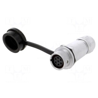 Plug | SF12 | female | PIN: 7 | IP67 | 4÷6.5mm | 5A | soldering | for cable