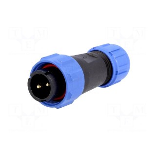 SP13 | plug | male | PIN: 2 | IP68 | 4÷6.5mm | 13A | soldering | for cable