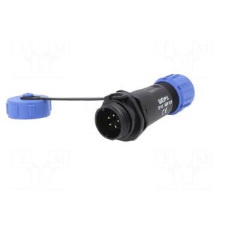 SP13 | plug | male | PIN: 5 | with protective cap | IP68 | 4÷6.5mm | 5A